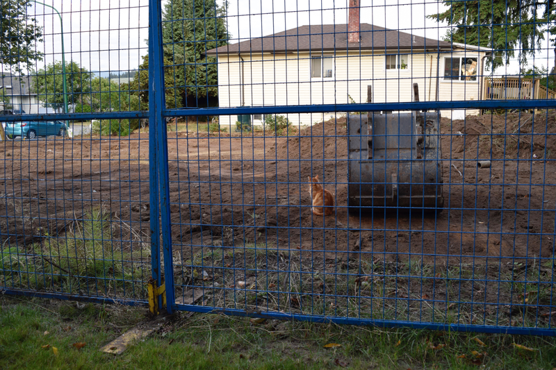 Wondering where his field went